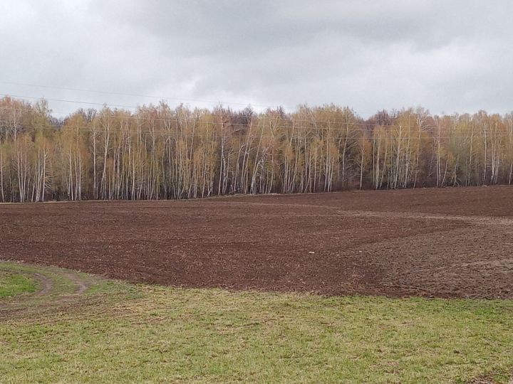 На полях Татарстана выявили наличие перезимовавшего запаса почвенных вредителей