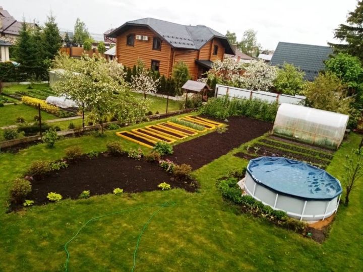 Правильная обработка сада или дачного участка для сохранения здоровья растений