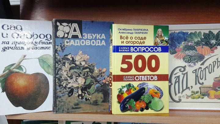 Наступившее календарное лето не балует огородников Лаишевского района теплой погодой