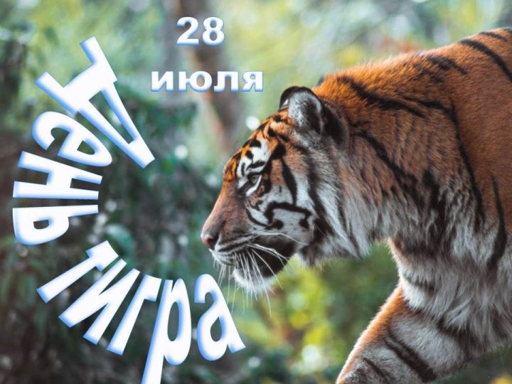 Сегодня отмечают Международный день тигра