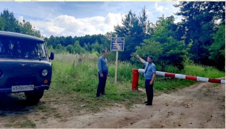 В Татарстане до 29 августа ограничено пребывание граждан в лесах