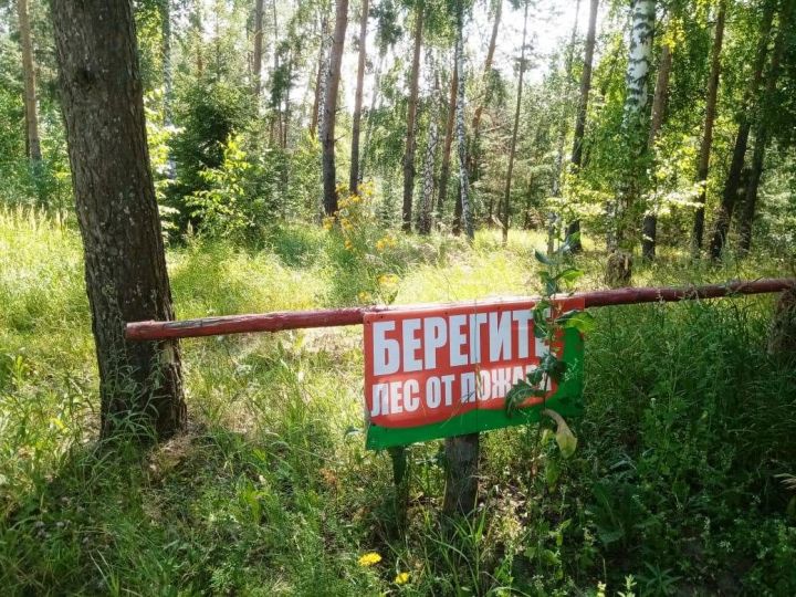 Штормовое предупреждение о сохранении высокой и чрезвычайной пожарной опасности лесов на территории Республики Татарстан