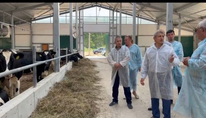 В Александровском поселении открылась молочно-товарная ферма