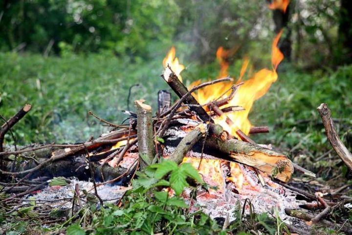 В Лаишевском районе сохраняется высокая пожароопасность лесов