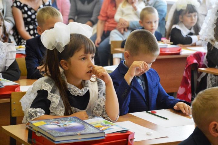 В Лаишевском районе 1 сентября пойдут в школу порядка 1000 первоклассников