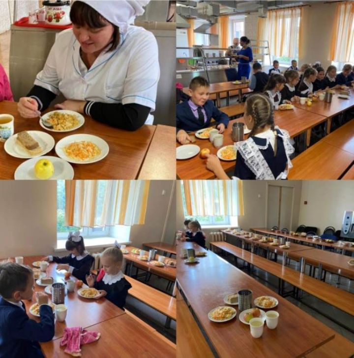К проверке питания школьников подключились родители села Пелево