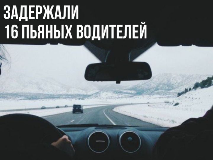 В Татарстане задержали 16 пьяных водителей