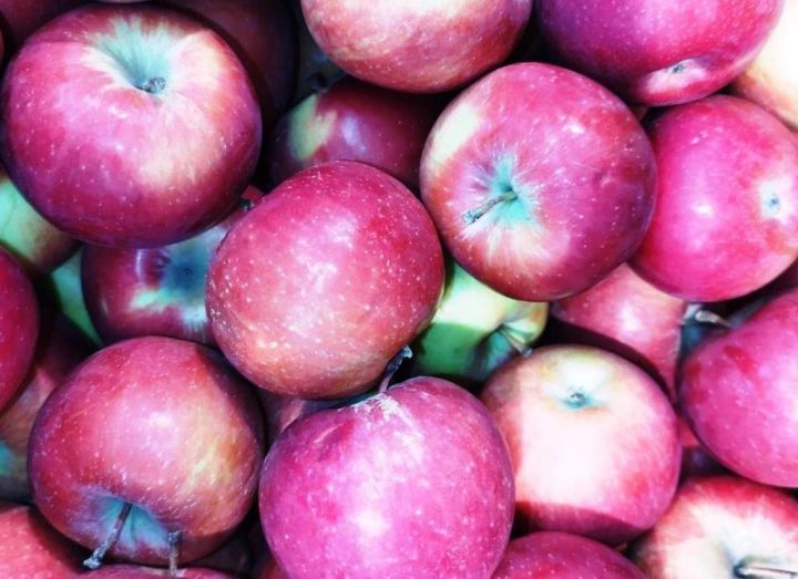 Сколько яблок нужно есть для профилактики рака