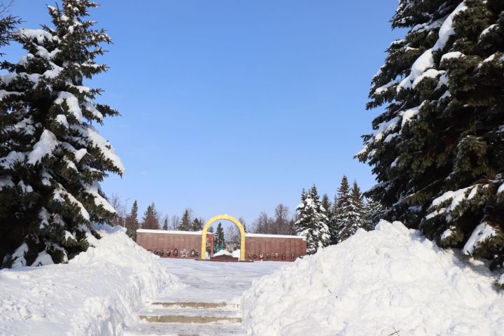 Утро доброе солнечной пятницы