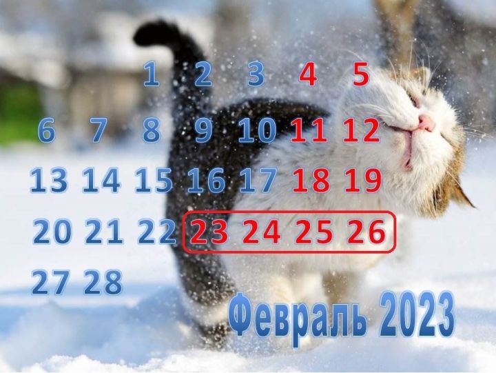 В предпоследнюю неделю февраля лаишевцы смогут отдохнуть целых четыре дня