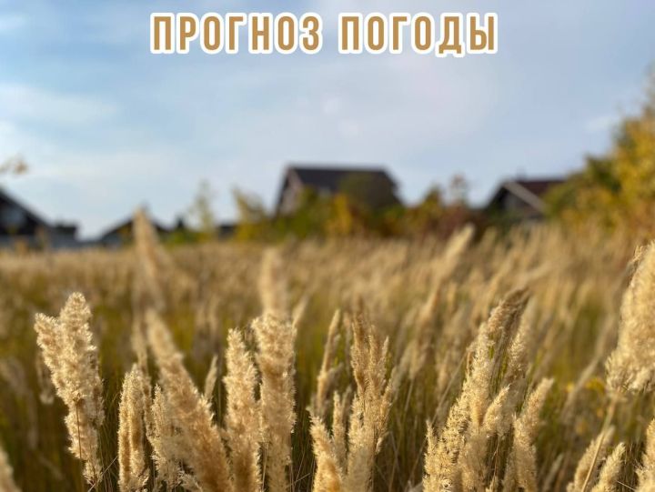 По прогнозу ЕДДС ПЧ погода в Лаишевском районе остается без изменений: тепло еще будет