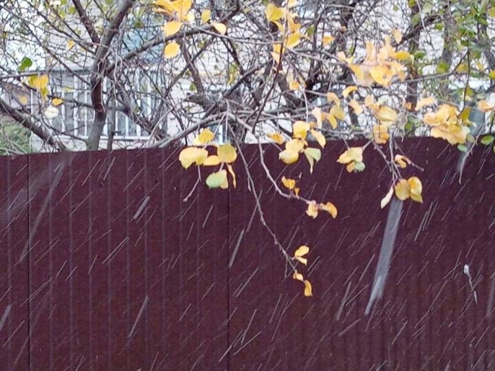 На выходных в Лаишевском районе ожидается мокрый снег