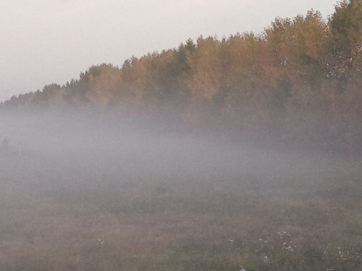 В Лаишевском районе ожидается туман