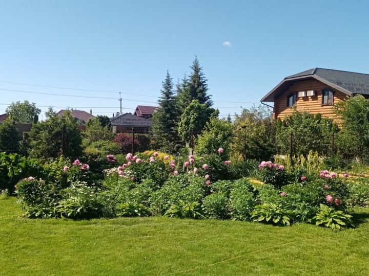 В Татарстане планируют предоставлять земельные наделы участникам СВО