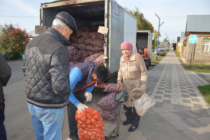 За десять ярмарочных дней в Татарстане фермеры продали сельхозпродукцию на 789 млн рублей