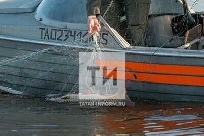 Житель села Кунтечи Лаишевского района осужден за незаконный вылов рыбы сетями