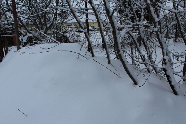 Лаишевцев предупреждают о гололеде и мокром снеге в понедельник