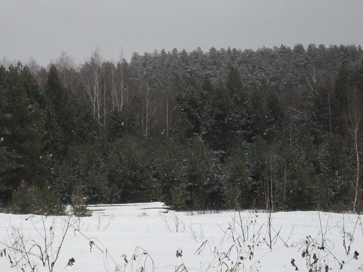 Метель и десять градусов мороза: из Лаишевского района уходят холода