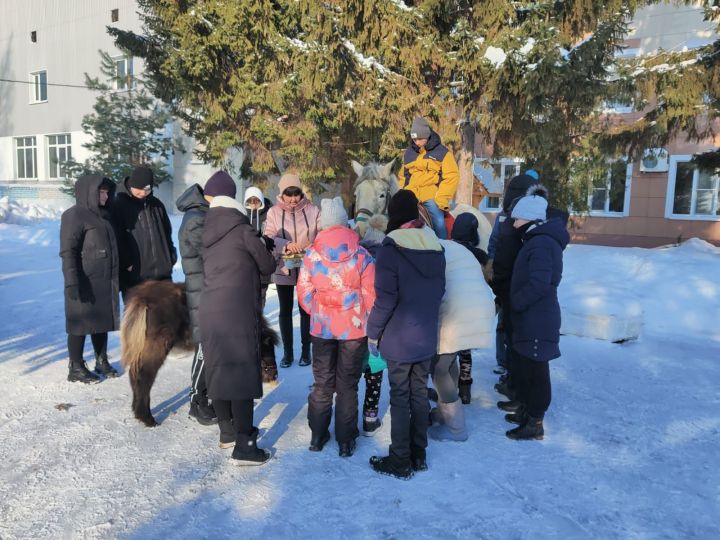 В гостях у Лаишевского реабилитационного центра побывали четвероногие друзья