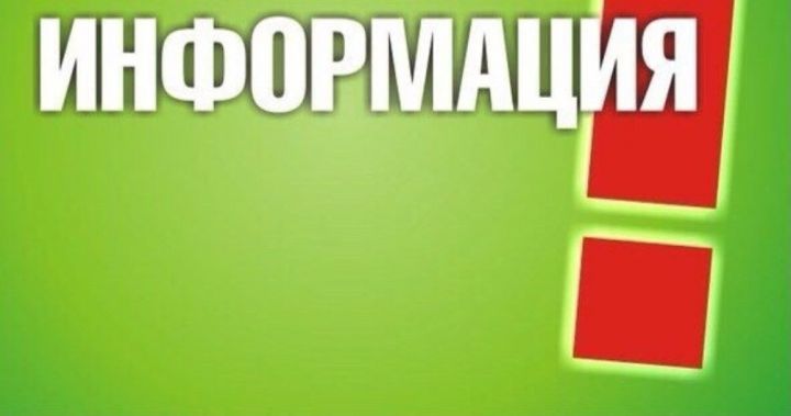 В Россельхозцентре Татарстана рассказали о профилактике болезней озимых культур и борьбе с грызунами на посевах