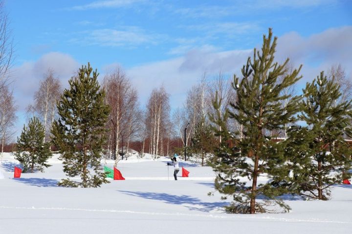 Мысли вслух