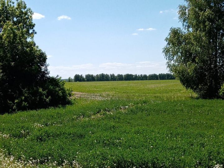 В Лаишевском районе потеплеет до ..+19˚