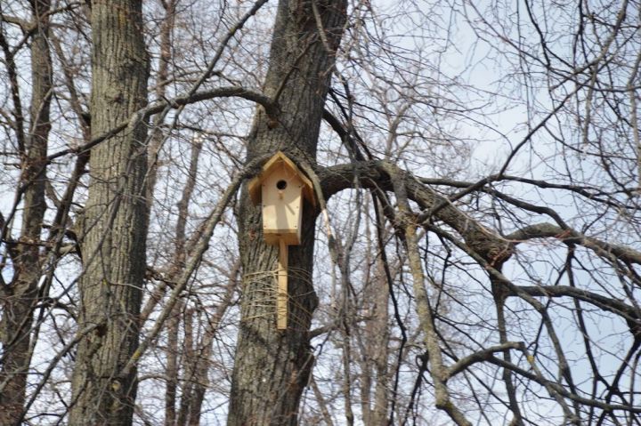 В Лаишевском районе обещают ночные заморозки