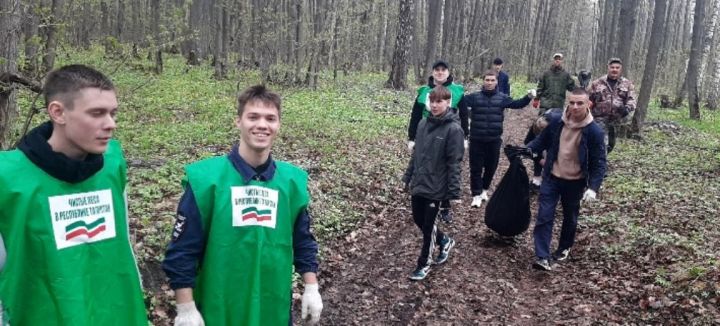 В Лаишевском район проходит весенний этап акции «Чистые леса Татарстана»
