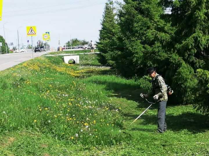 В Лаишеве продолжается обкос травы