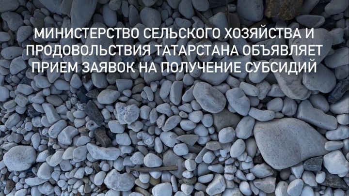 Министерство сельского хозяйства и продовольствия Татарстана объявляет прием заявок на получение субсидий садоводческим и огородническим некоммерческим товариществам