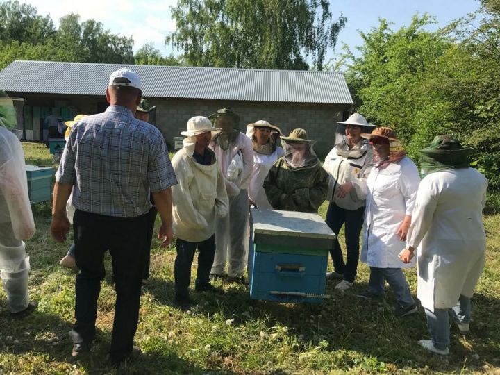 Пасечники делились своим опытом на  зональном семинаре-совещании