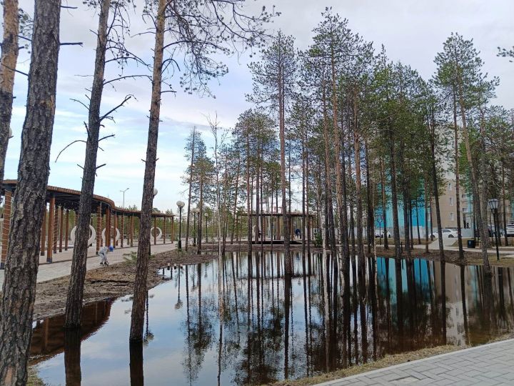 Релаксация. Парк, озеро, пение птиц