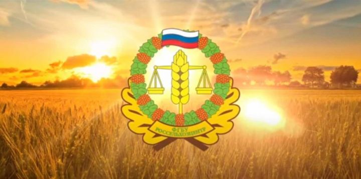 Россельхозцентр РТ: недостаток влаги отрицательно влияет на развитие яровых культур
