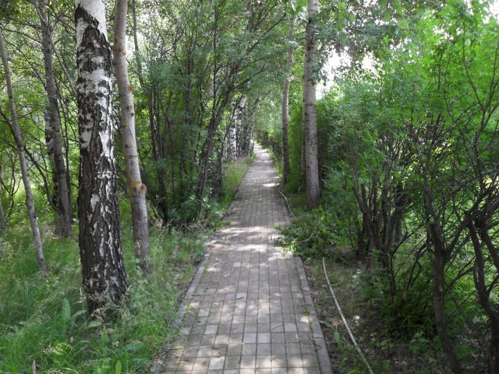В воскресенье жара в Лаишевском районе только усилится