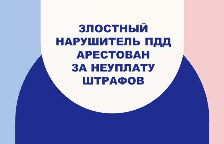 Не уплатил вовремя штрафы за нарушение ПДД — арестован на пять суток