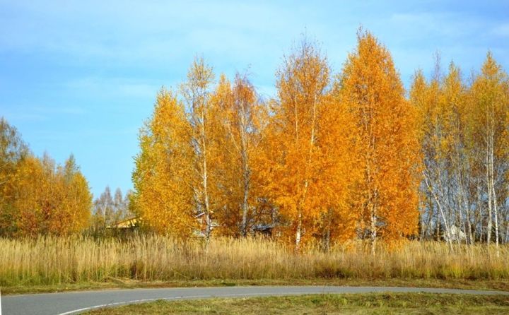 Жители Лаишевского района наслаждаются теплым сентябрем