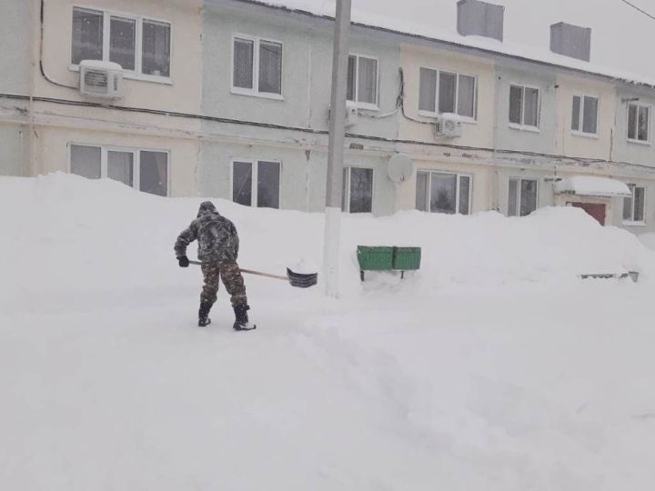 Читатели делятся своими фотографиями, как они борются со снежной стихией
