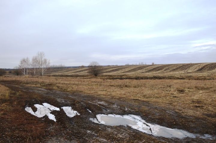 Погода на завтра, 3 октября