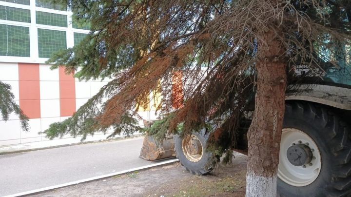 Водопровод и дорога: новости благоустройства Лаишевского района