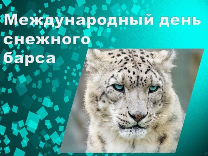 Сегодня — Международный день снежного барса