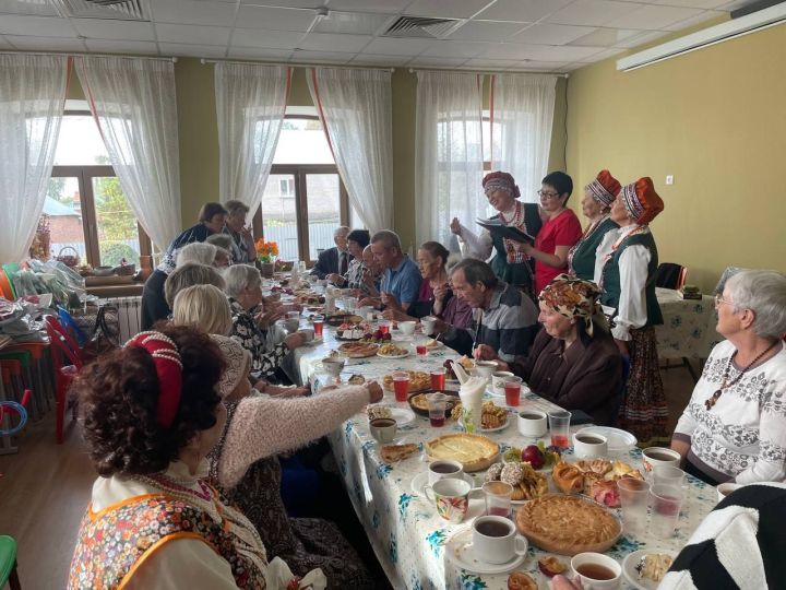 Декада пожилых людей проходит в музее Лаишевского края
