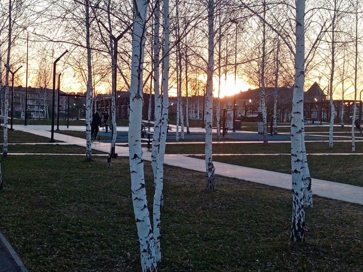 Погода на завтра, 21 ноября