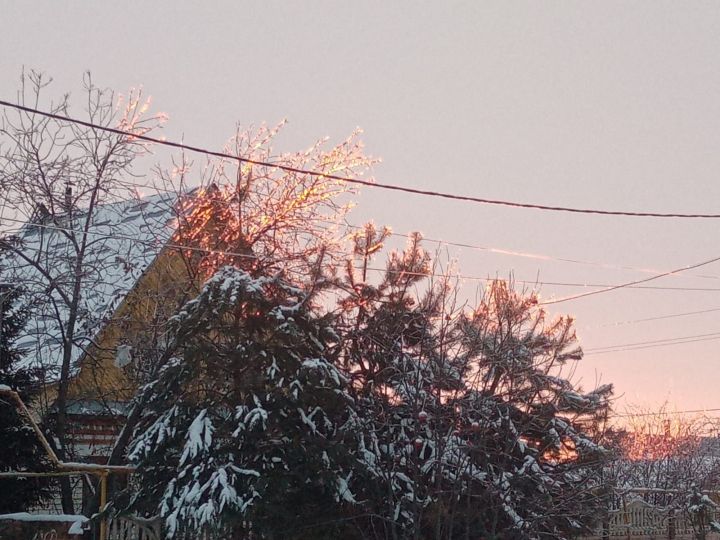 Погода на завтра, 8 ноября