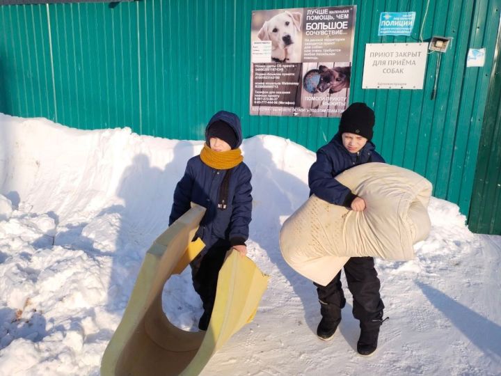 Жители Лаишевского района делятся душевной теплотой с питомцами из приюта