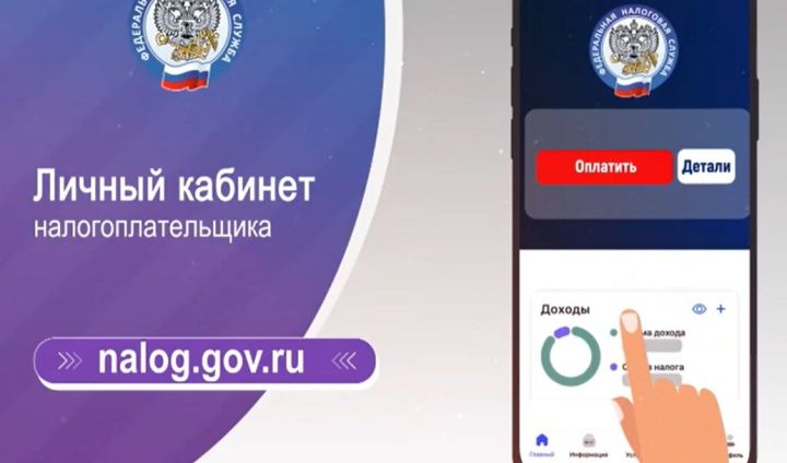 Проверьте наличие задолженности по налогам в ЛКФЛ