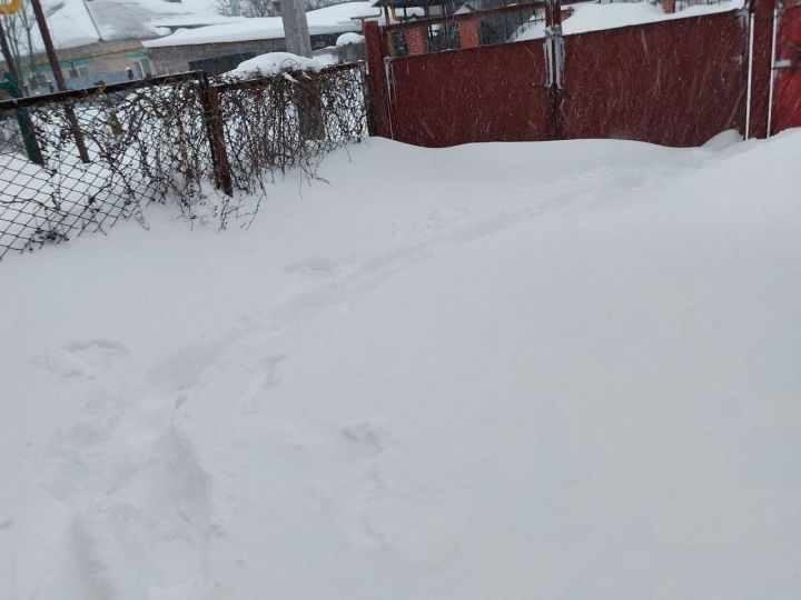 Во вторник лаишевцев ждут мокрый снег и метели