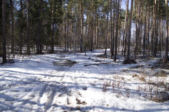 Завтра в Лаишевском районе потеплеет до трех градусов тепла