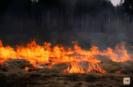 Стартовал пожароопасный период в лесах Татарстана
