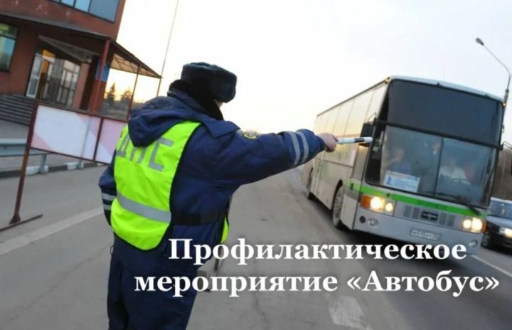 В пятницу в Лаишевском районе казанские сотрудники ГИБДД проведут рейд