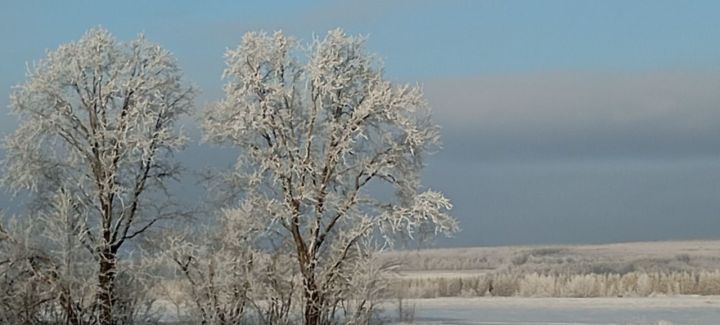 Погода на завтра, 11 января: плюсовая температура ждет в субботу днем жителей Лаишевского района